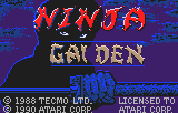 Ninja Gaiden Title Screen